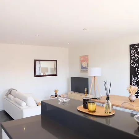 Magnifique Appartement, En Hyper Centre, Avec Terrasse Et Place De Parking Appartement Biarritz